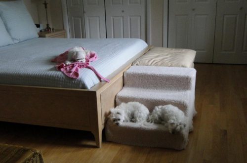 Orvis bedside platform dog bed