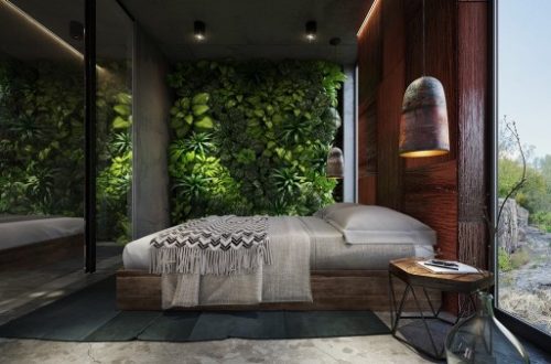 Plant Bedroom Wall